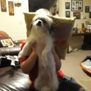 Meet your Posher, Carolyn